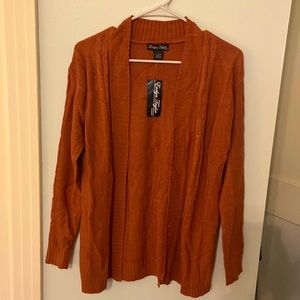 Fall colored cardigan sweater